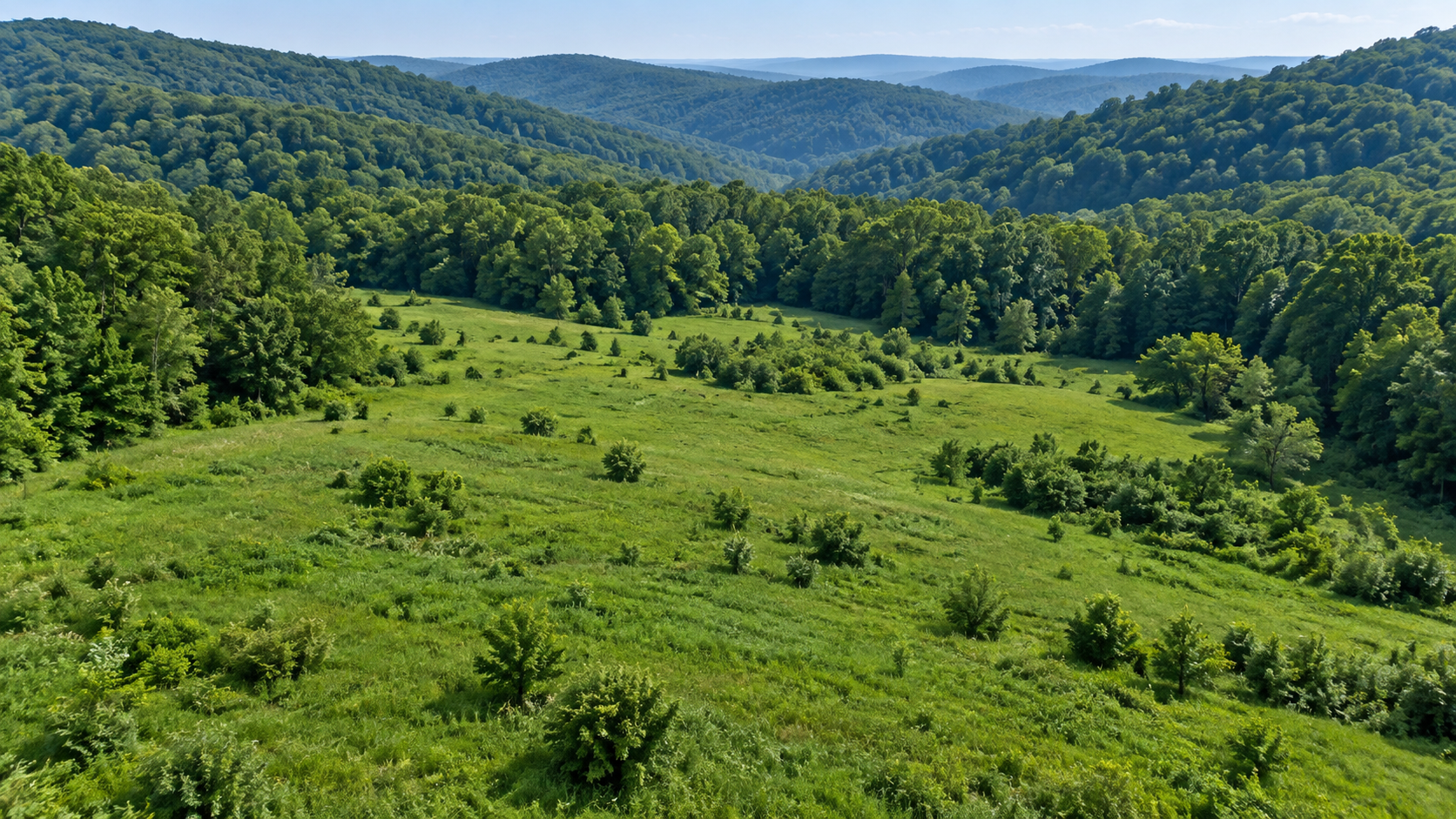Agricultural and multi-use land with an open meadow, wooded hills, and distant ridgelines.